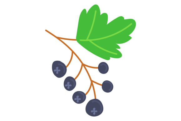 The Rich Allure of Black Currant Color Icon. Berry Natural